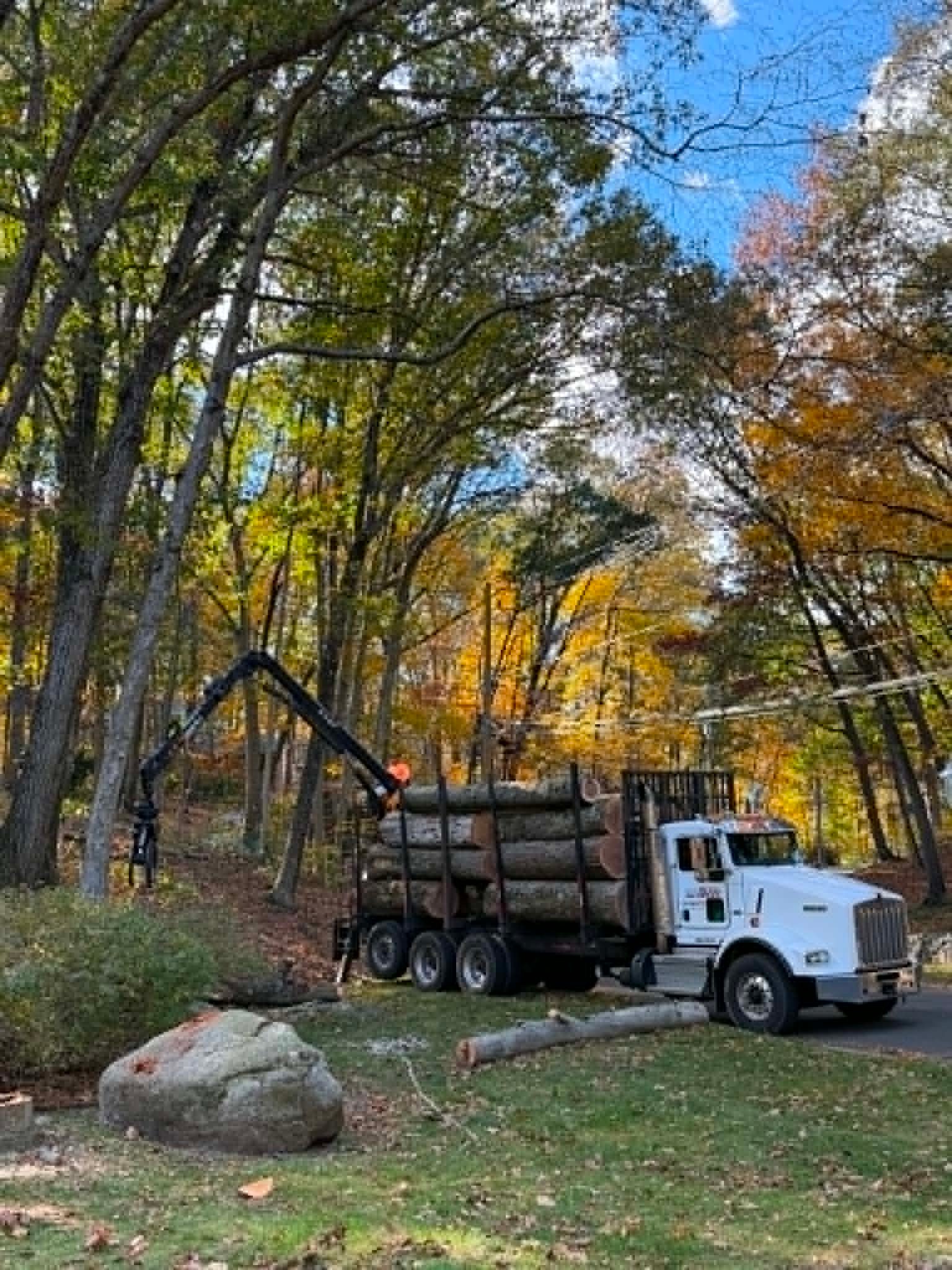 Land Clearing CT