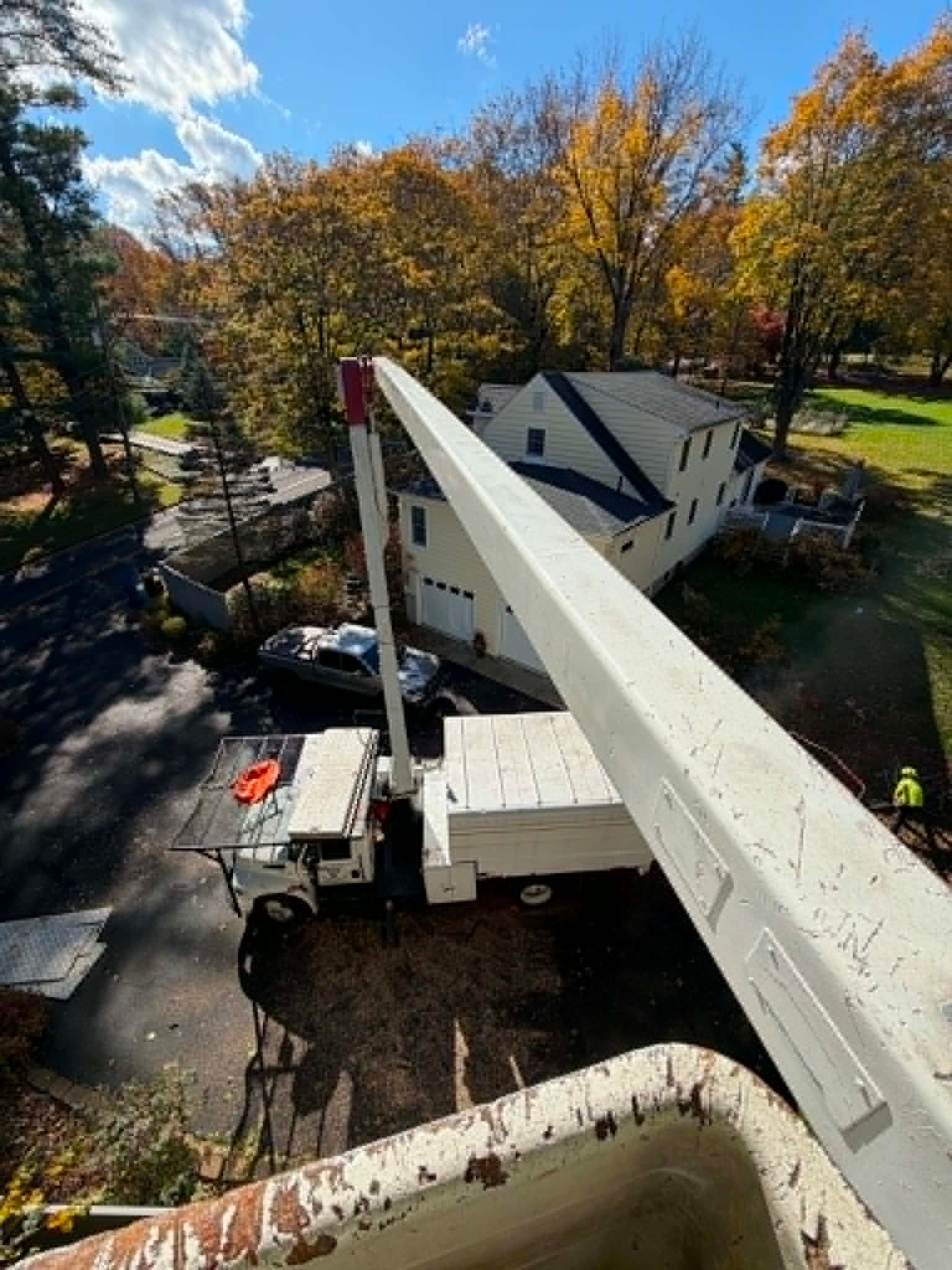Fall tree removal